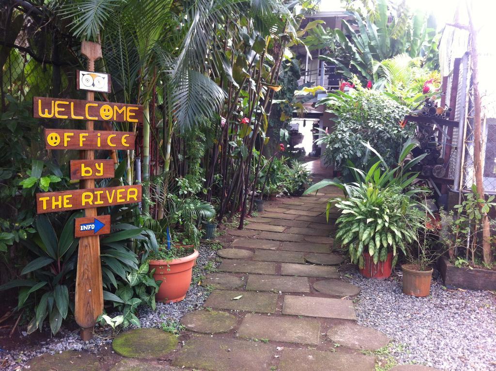 Tortuguero Adventures Guesthouse エクステリア 写真